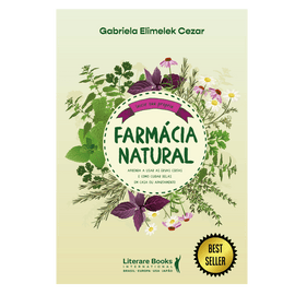 Farmácia natural: aprenda a usar as ervas certas e como cuidar delas em casa ou apartamento